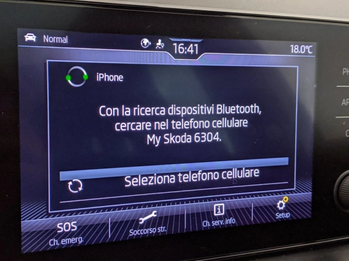 Skoda Kamiq Kamiq 1.0 TSI 110 CV DSG Monte Carlo
