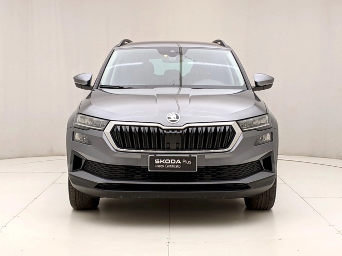 img-1 Skoda Karoq Skoda U1282809