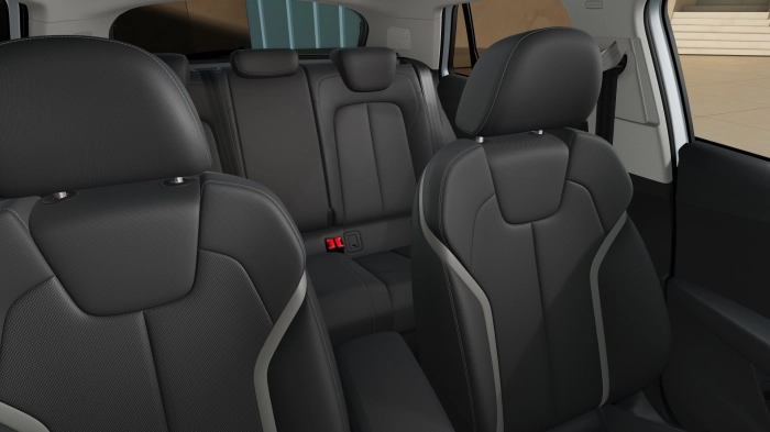 Audi Q2 Q2        TDI2,0  L4110    DSG