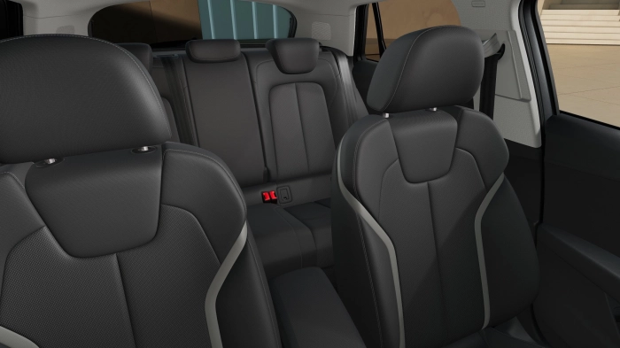 Audi Q2 Q2        TDI2,0  L4110    DSG MY 25