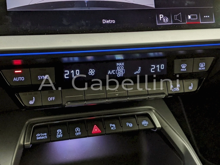 Audi Audi A3 Sportb TDI  2,0    L4  110      DSG