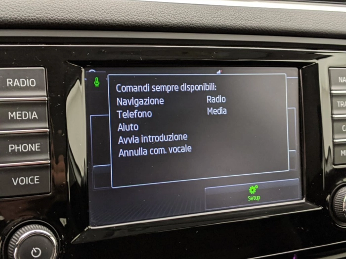 Skoda Octavia Octavia 1.6 TDI CR 110 CV DSG Wagon Style