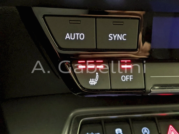 Audi Audi A3 Sportb TDI  2,0    L4  110      DSG