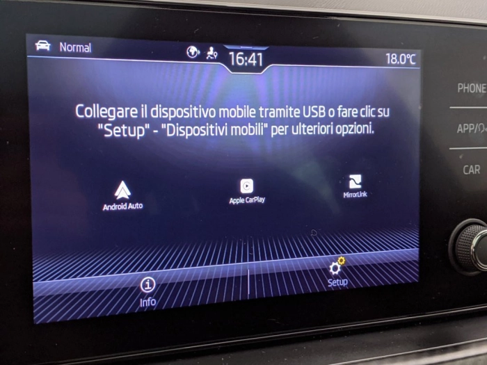 Skoda Kamiq Kamiq 1.0 TSI 110 CV DSG Monte Carlo