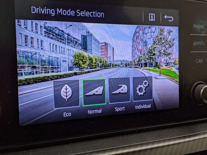 Skoda Kamiq Kamiq 1.0 TSI 110 CV DSG Monte Carlo