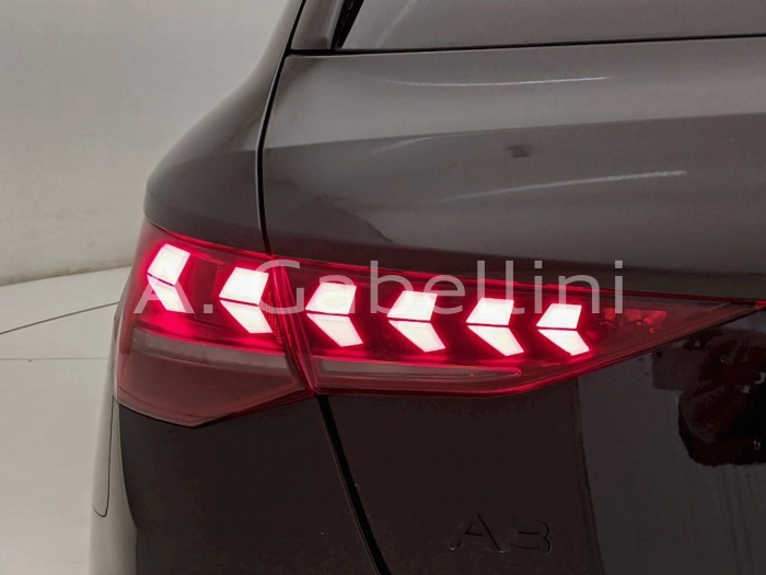 Audi Audi A3 Sportb TDI  2,0    L4  110      DSG