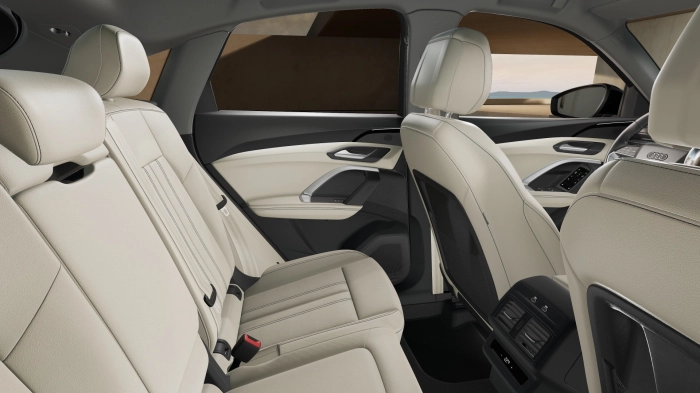 Audi Q5 Q5 Sb qu.PHEV2,0  L4220/D6BA7