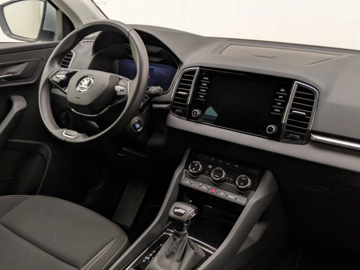 Skoda Karoq Karoq 2.0 TDI EVO SCR 115 CV DSG Ambition