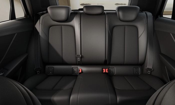Audi Q2 Q2           1,5  L4110    DSG MY 25
