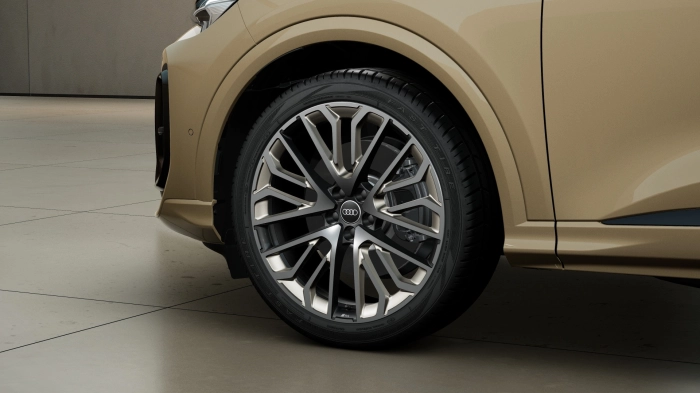 Audi Q5 Q5 Sb qu.PHEV2,0  L4220/D6BA7