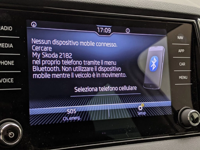 Skoda Karoq Karoq 2.0 TDI EVO SCR 115 CV DSG Ambition