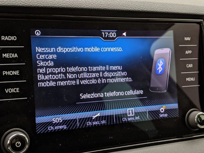 Skoda Karoq Karoq 1.0 TSI 110 CV Executive