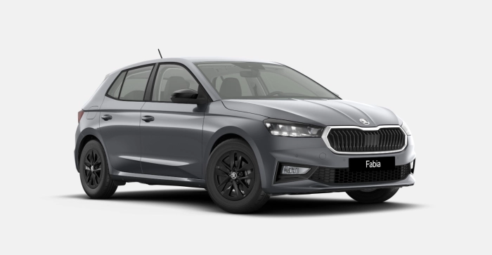 img-0 Skoda FABIA Skoda N1247247