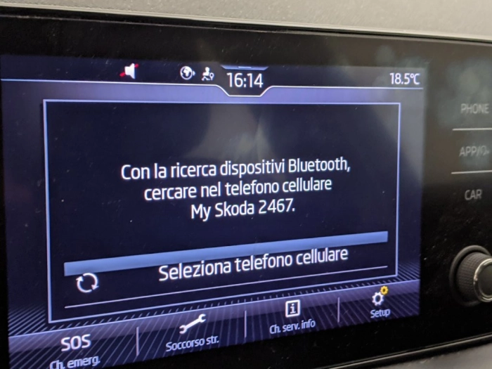 Skoda Kamiq Kamiq 1.0 TSI 110 CV Ambition