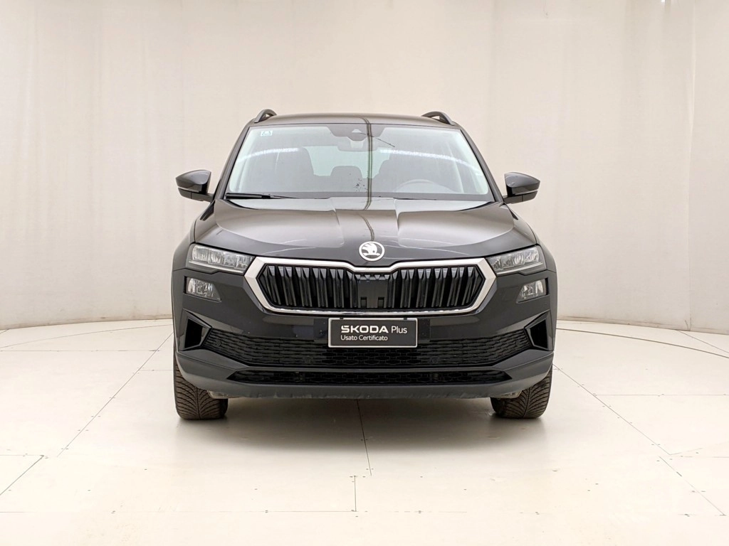 img-1 Skoda Karoq Skoda U1283955
