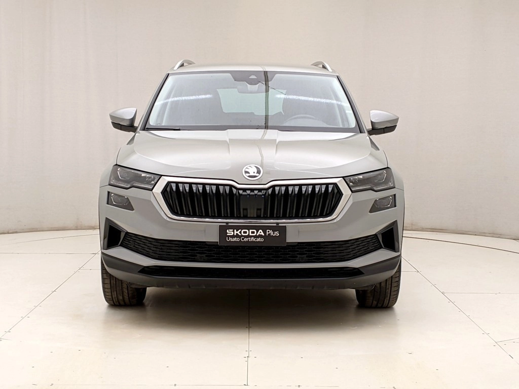 img-1 Skoda Karoq Skoda U1283824