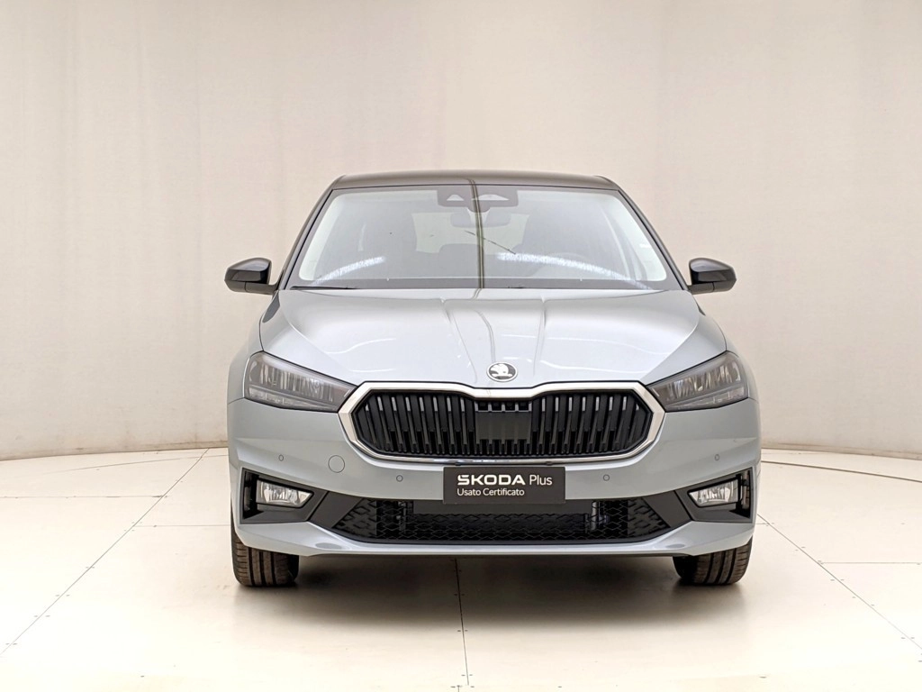 img-1 Skoda FABIA Skoda N1250175