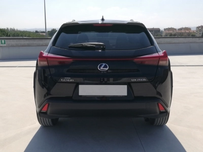 Lexus UX - U1279115 