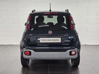 Fiat Panda - U1283436 