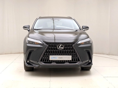 Lexus NX - U1284197 
